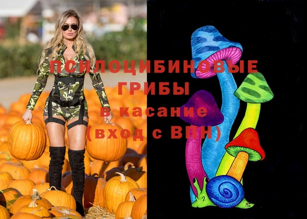 шишки Верхнеуральск